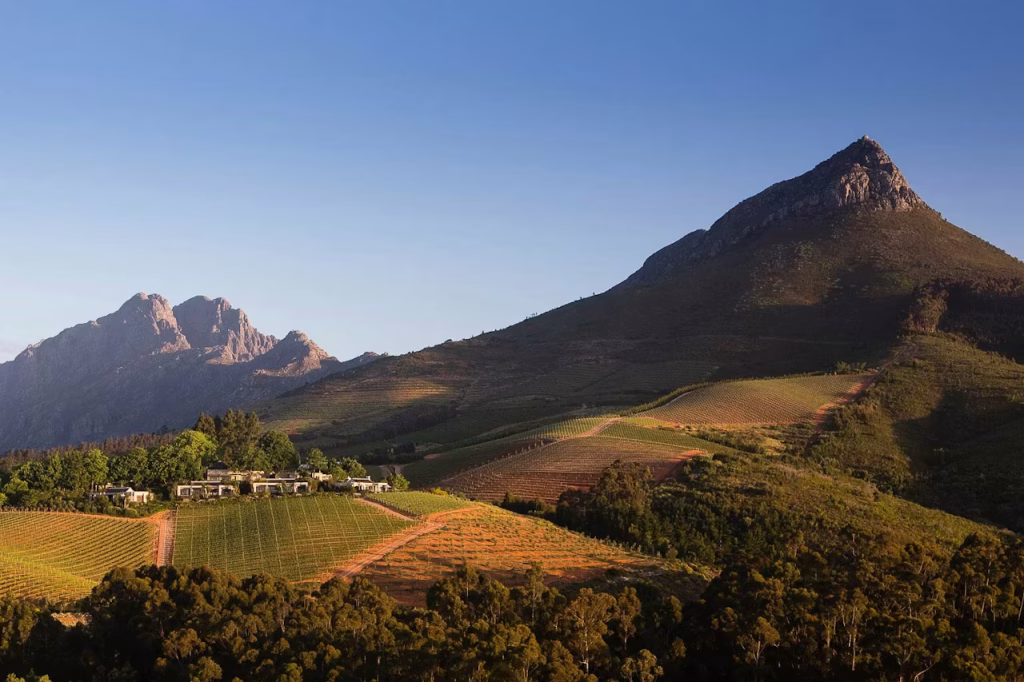 Cape Town Summit & Vines (7 Nights)
